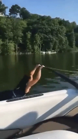 the regret the regret 30 gifs 12.html - 1 HD GIF | Premium Gallery 2019