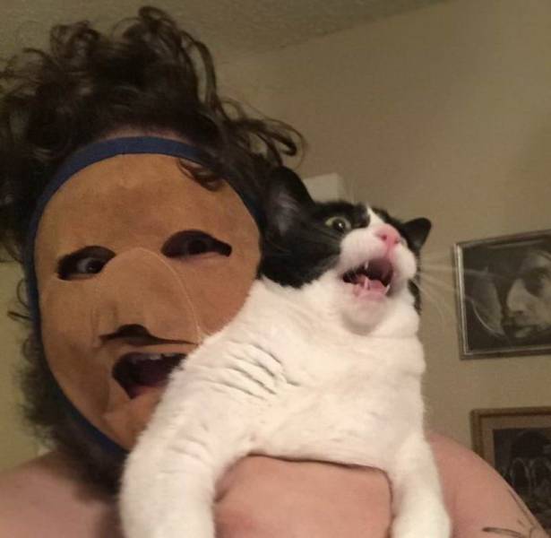 daily picdump 97 pics 49.html - 97 HD Photos | Premium Gallery 2019