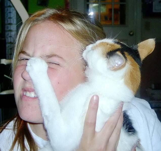 daily picdump 97 pics 49.html - 97 HD Photos | Premium Gallery 2019