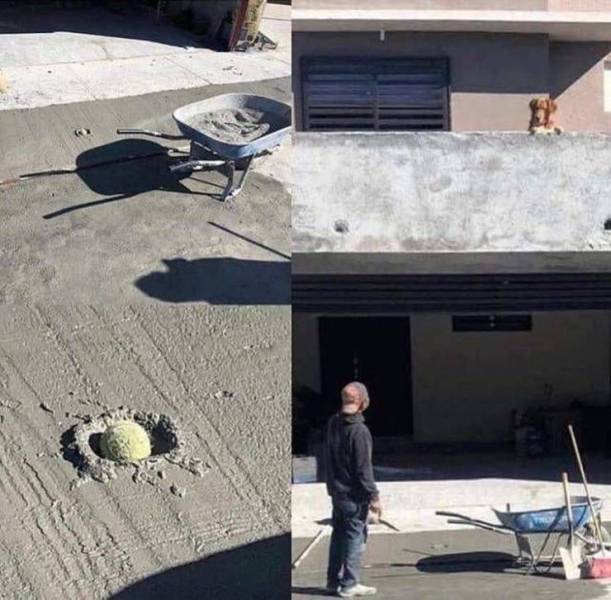 daily picdump 97 pics 49.html - 97 HD Photos | Premium Gallery 2019