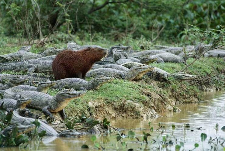 daily picdump 97 pics 49.html - 97 HD Photos | Premium Gallery 2019