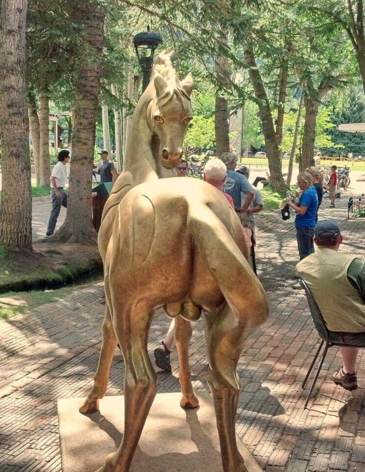 daily picdump 97 pics 49.html - 97 HD Photos | Premium Gallery 2019