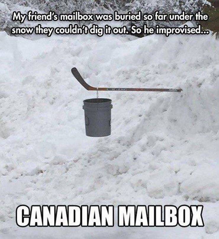 Daily Picdump