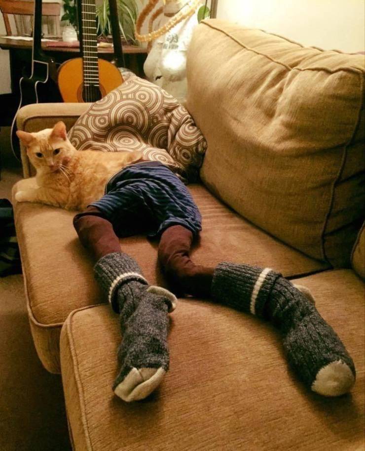 Daily Picdump