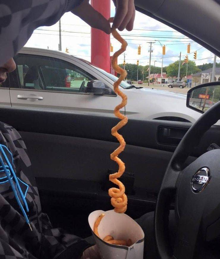Daily Picdump