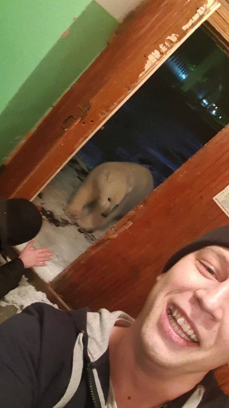 daily picdump 97 pics 49.html - 97 HD Photos | Premium Gallery 2019