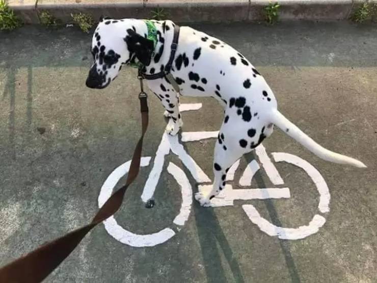 Pictures That Will Make You Look Twice
