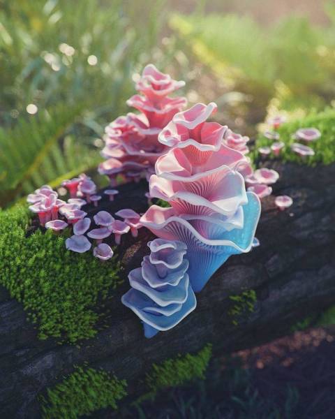 page,5,top 250 morning pics of the year 2019.html - 1 HD Photos | Premium Gallery 2019