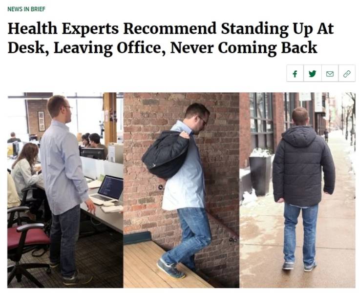 page,6,top 250 funny pics of the year 2019.html - 1 HD Photos | Premium Gallery 2019