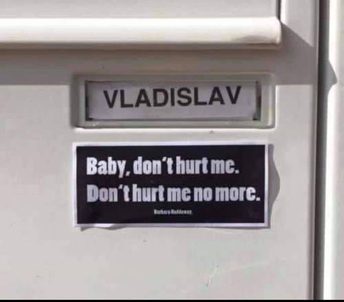 page,6,top 250 funny pics of the year 2019.html - 1 HD Photos | Premium Gallery 2019