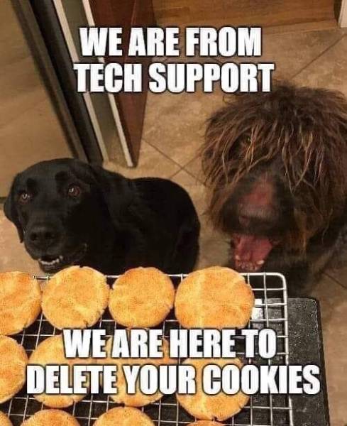 page,2,top 250 funny pics of the year 2019.html - 1 HD Photos | Premium Gallery 2019