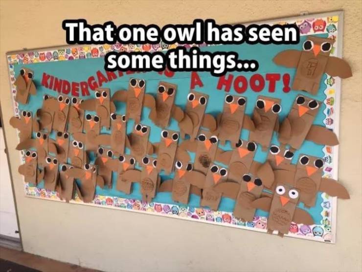 page,6,top 250 funny pics of the year 2019.html - 1 HD Photos | Premium Gallery 2019