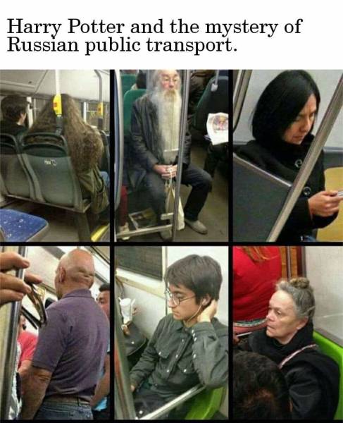 page,6,top 250 funny pics of the year 2019.html - 1 HD Photos | Premium Gallery 2019
