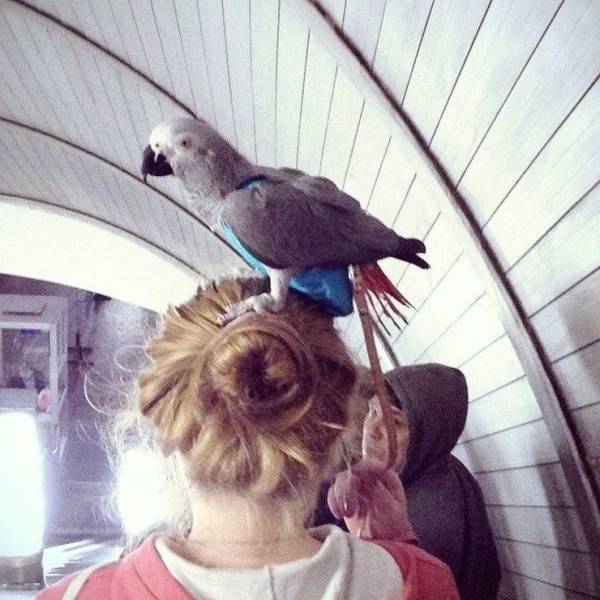 Daily Picdump