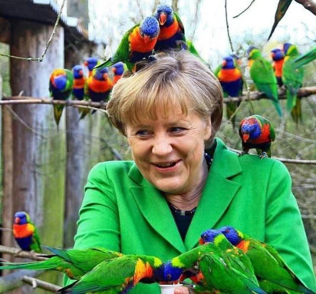 daily picdump 97 pics 10.html - 97 HD Photos | Premium Gallery 2019