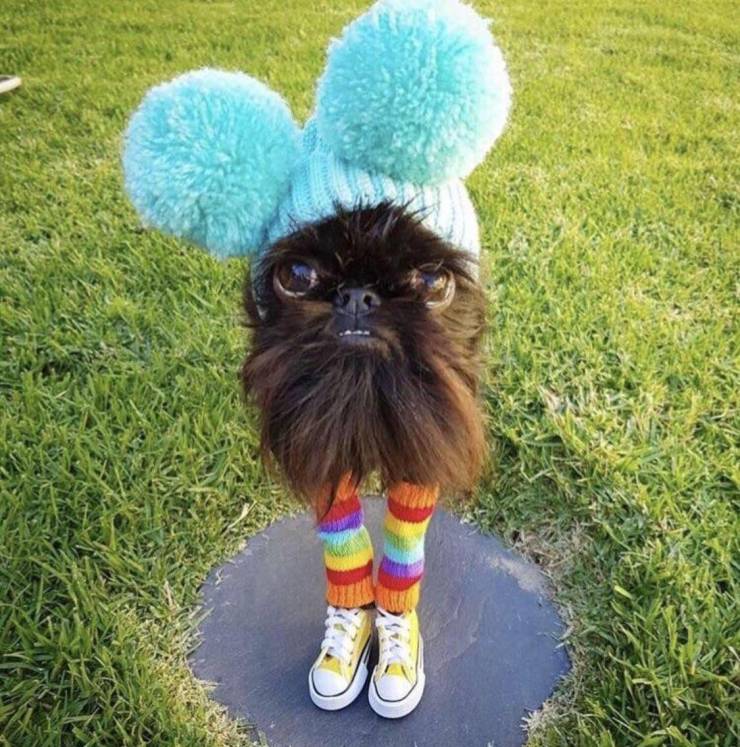 Daily Picdump