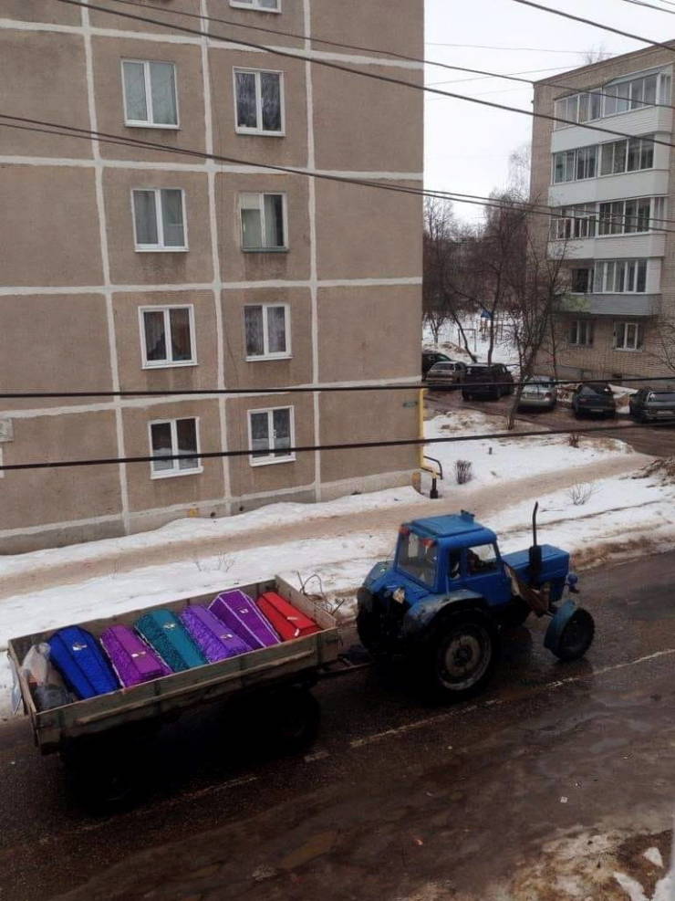 Morning Picdump