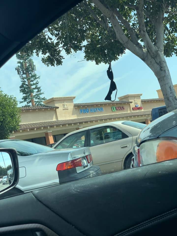 morning picdump 53 pics 1.html - 53 HD Photos | Premium Gallery 2019