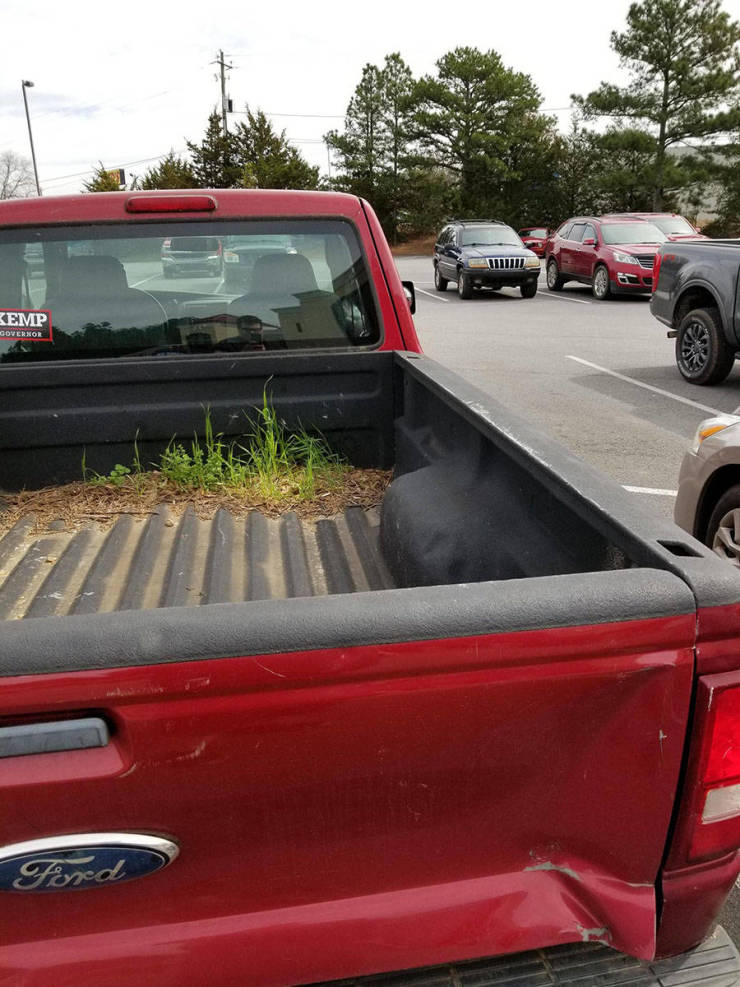 morning picdump 53 pics 1.html - 53 HD Photos | Premium Gallery 2019