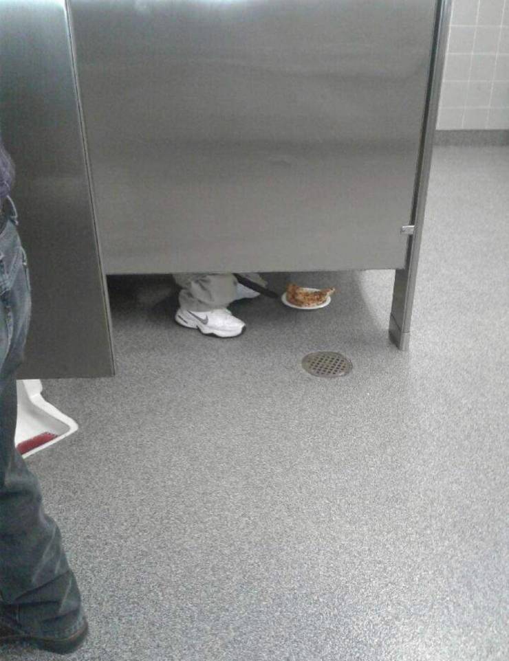 morning picdump 53 pics 1.html - 53 HD Photos | Premium Gallery 2019