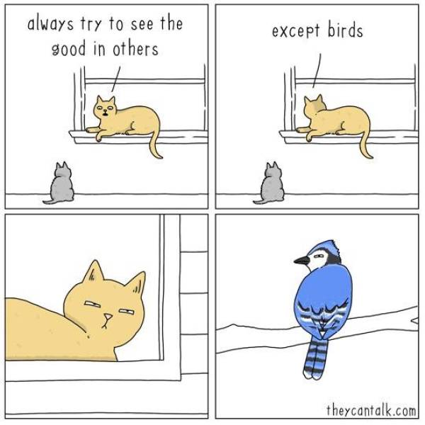 funny picdump 52 pics 2.html - 52 HD Photos | Premium Gallery 2019