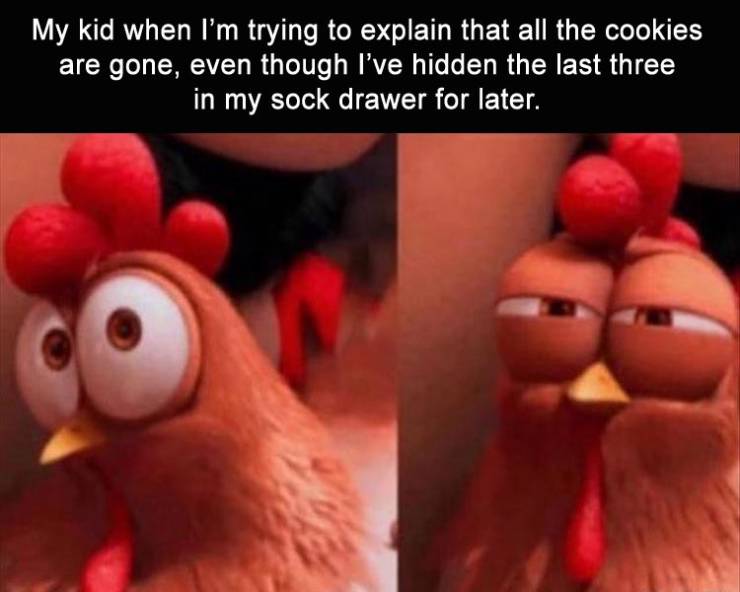 funny picdump 52 pics 2.html - 52 HD Photos | Premium Gallery 2019