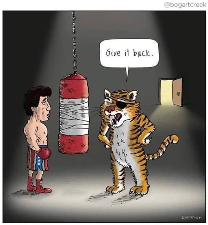 funny picdump 52 pics 2.html - 52 HD Photos | Premium Gallery 2019
