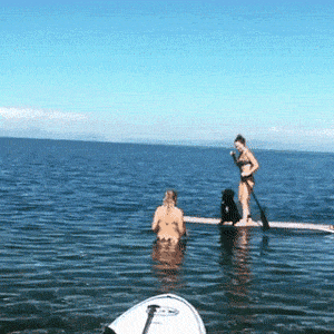 fail gifs are both hilarious and educational 36 gifs 3.html - 1 HD GIF | Premium Gallery 2019