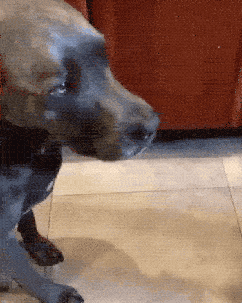 fail gifs are both hilarious and educational 36 gifs 3.html - 1 HD GIF | Premium Gallery 2019