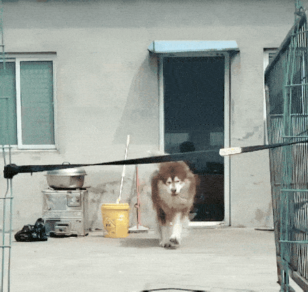 fail gifs are both hilarious and educational 36 gifs 3.html - 1 HD GIF | Premium Gallery 2019