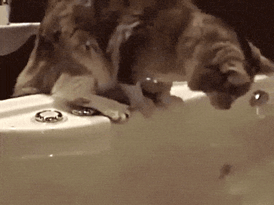 fail gifs are both hilarious and educational 36 gifs 3.html - 1 HD GIF | Premium Gallery 2019