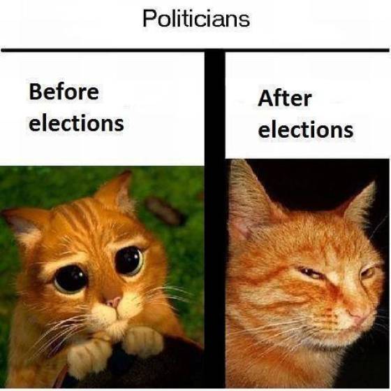 Funny Picdump