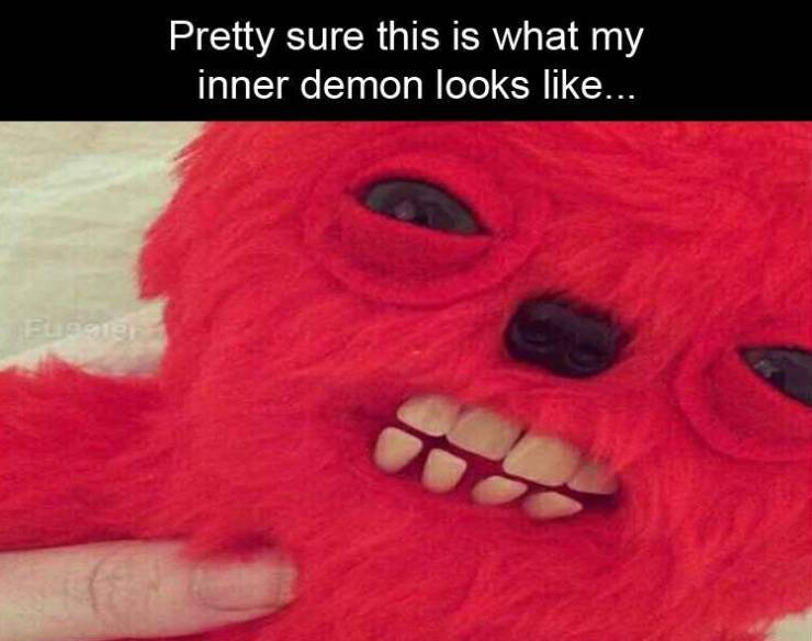 Funny Picdump