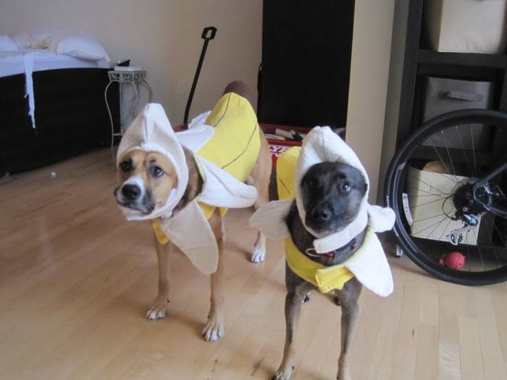 Daily Picdump