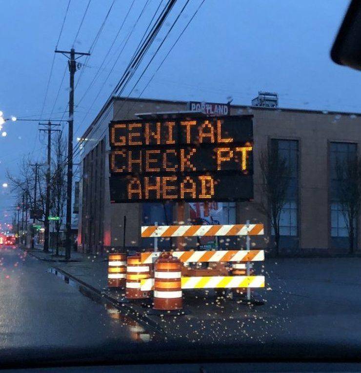 Daily Picdump