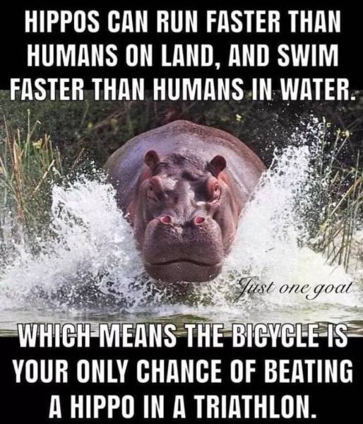 page,6,top 250 funny pics of the year 2019.html - 1 HD Photos | Premium Gallery 2019