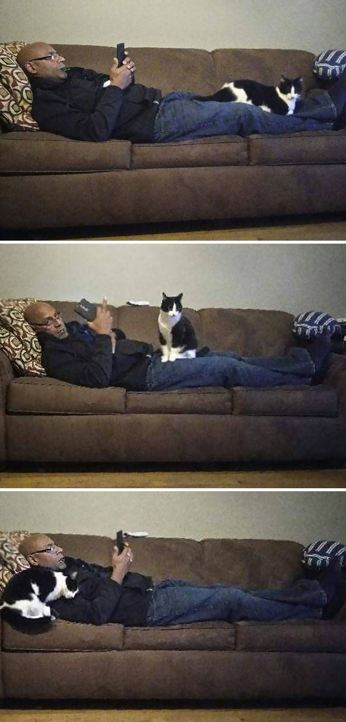 They Said They Didn’t Want A Cat…