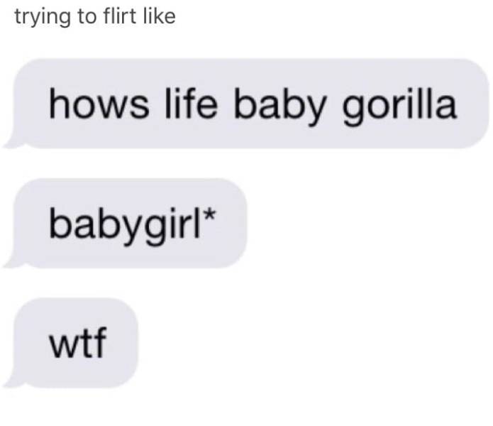 The Funniest Stuff Internet Could Provide