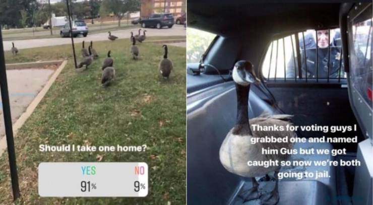 The Funniest Stuff Internet Could Provide
