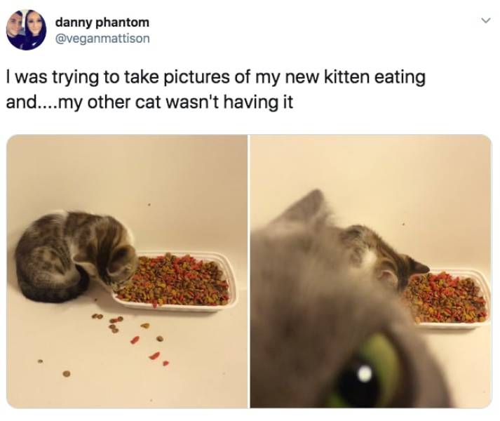 the funniest stuff internet could provide 100 pics 30.html - 100 HD Photos | Premium Gallery 2019
