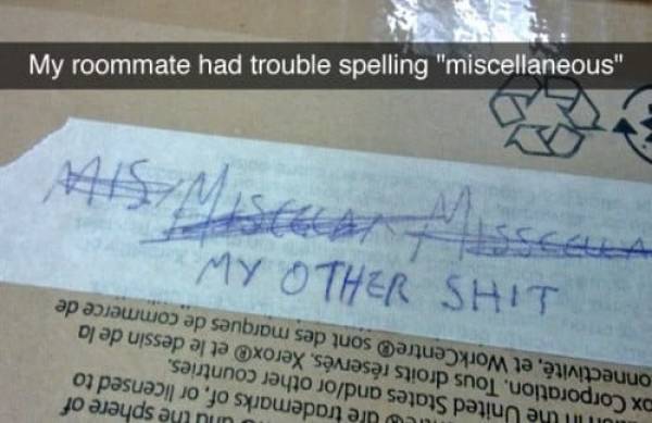 the funniest stuff internet could provide 100 pics 30.html - 100 HD Photos | Premium Gallery 2019