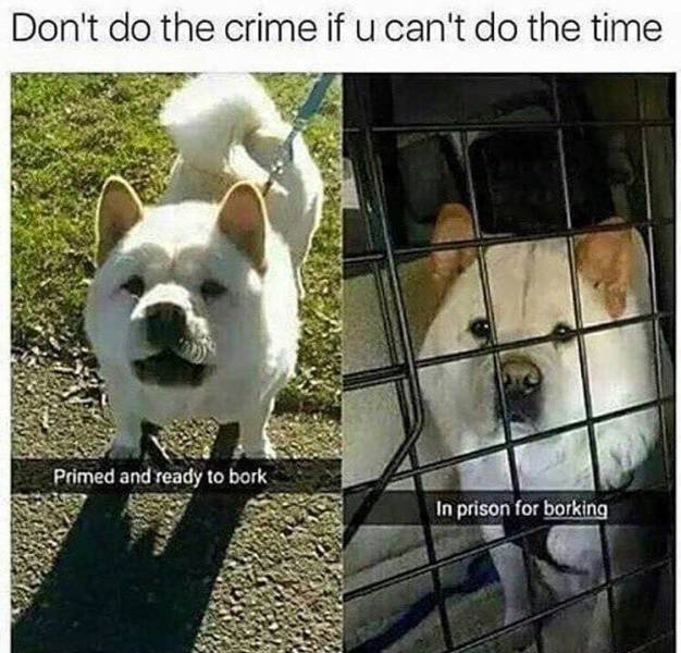 the funniest stuff internet could provide 100 pics 30.html - 100 HD Photos | Premium Gallery 2019