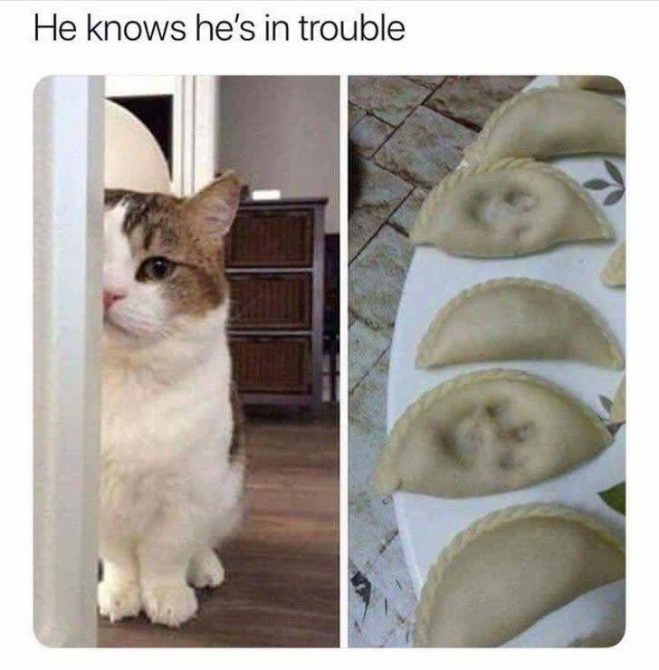 the funniest stuff internet could provide 100 pics 30.html - 100 HD Photos | Premium Gallery 2019