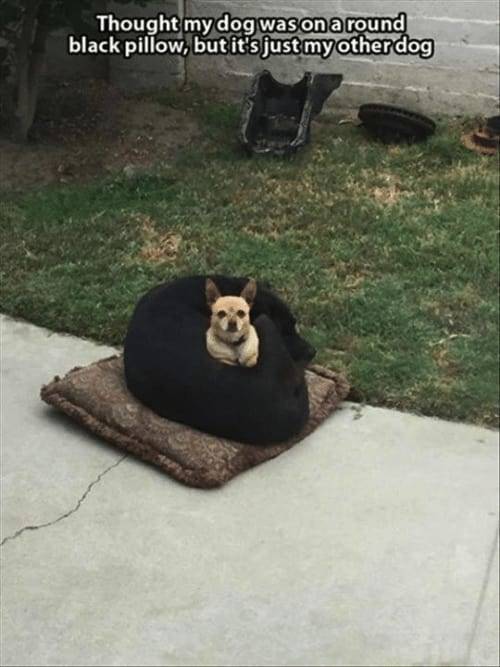 the funniest stuff internet could provide 100 pics 30.html - 100 HD Photos | Premium Gallery 2019