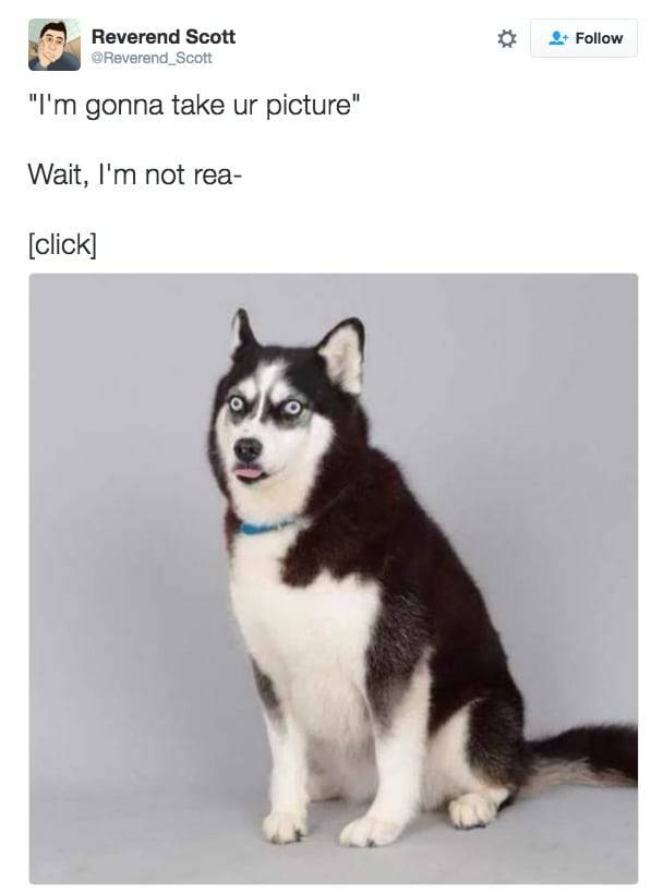 the funniest stuff internet could provide 100 pics 30.html - 100 HD Photos | Premium Gallery 2019