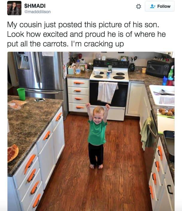 the funniest stuff internet could provide 100 pics 30.html - 100 HD Photos | Premium Gallery 2019