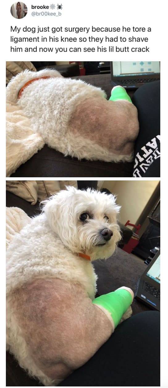 the funniest stuff internet could provide 100 pics 30.html - 100 HD Photos | Premium Gallery 2019