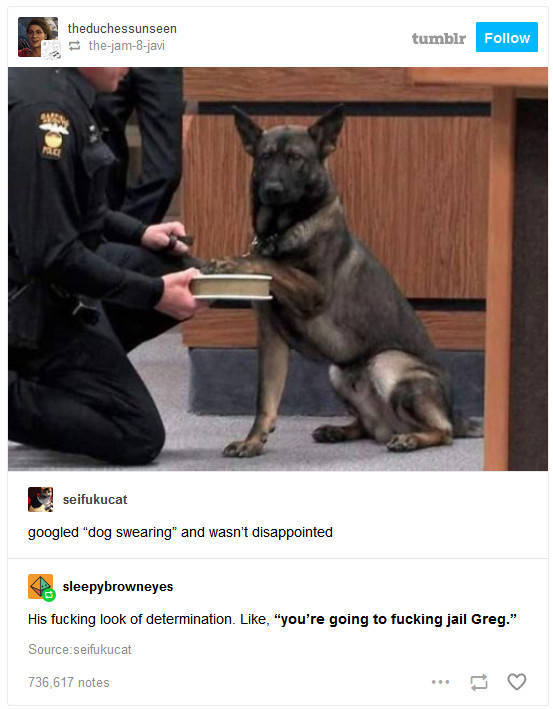 the funniest stuff internet could provide 100 pics 30.html - 100 HD Photos | Premium Gallery 2019