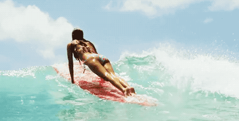 hot surfer girls in all their glory 36 gifs 1.html - 1 HD GIF | Premium Gallery 2019