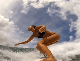 hot surfer girls in all their glory 36 gifs 1.html - 1 HD GIF | Premium Gallery 2019